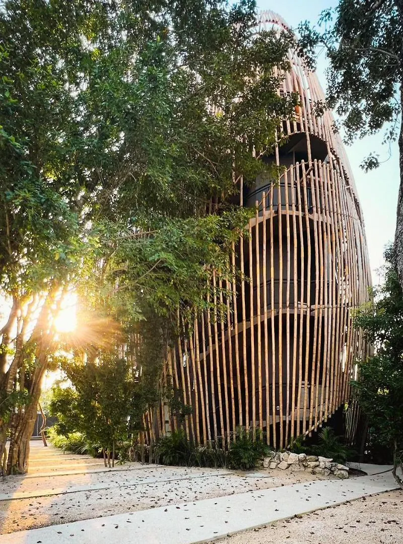 Living The Noom Apartment Cancun